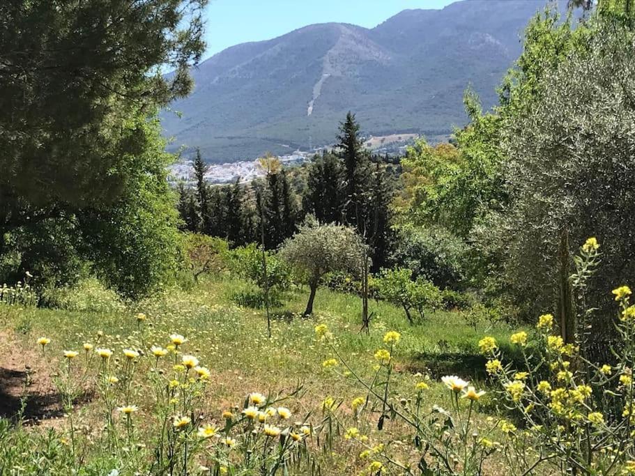 Penthouse Apartment, Cortijo Fruitful Hills Malaga Zewnętrze zdjęcie