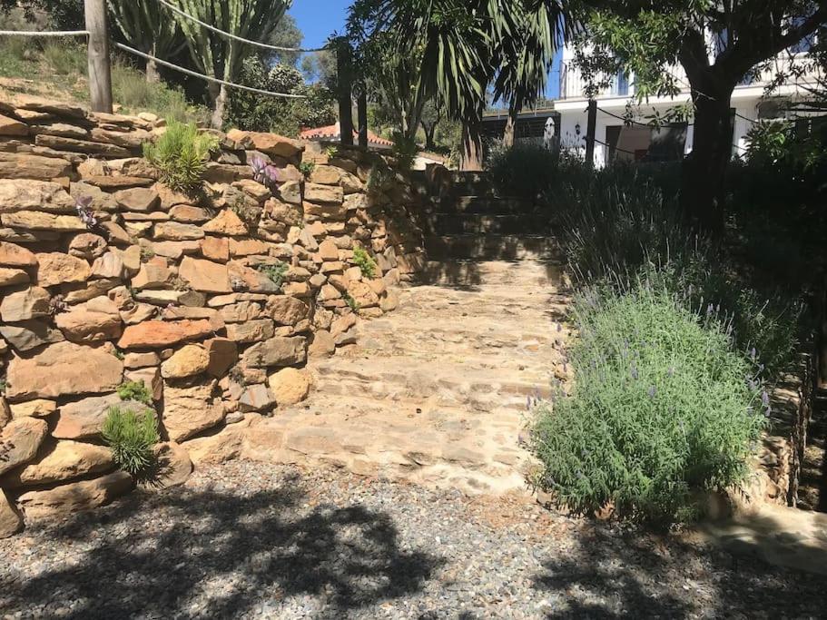Penthouse Apartment, Cortijo Fruitful Hills Malaga Zewnętrze zdjęcie