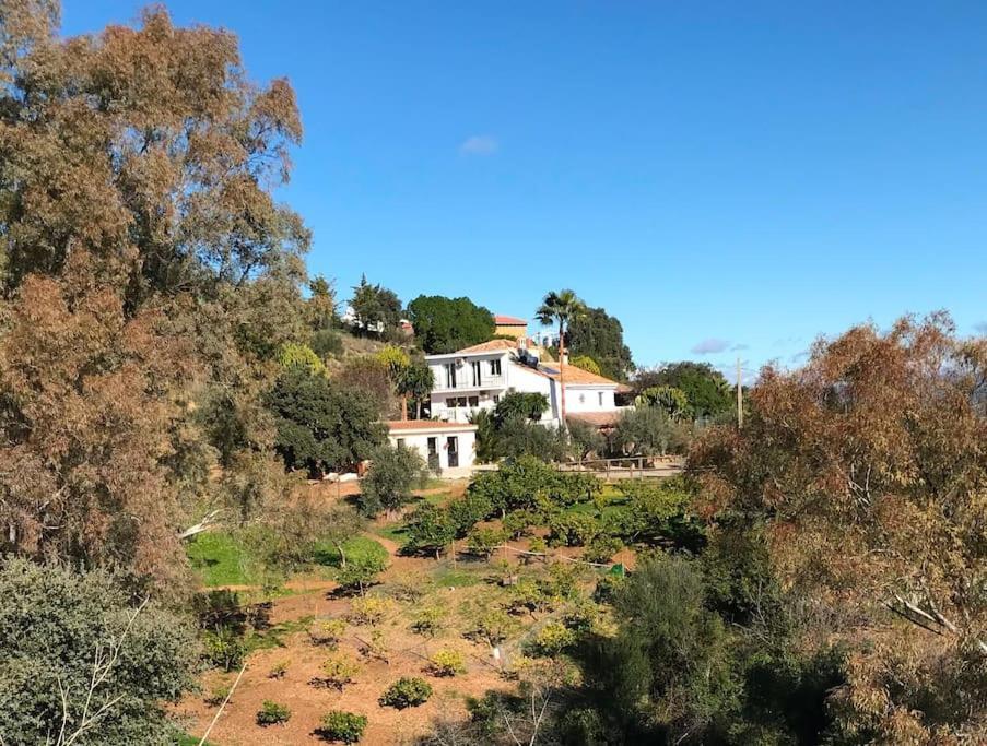 Penthouse Apartment, Cortijo Fruitful Hills Malaga Zewnętrze zdjęcie